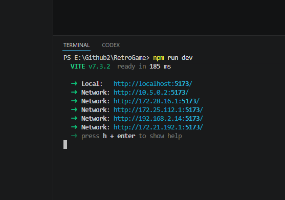 Terminal showing npm run dev with local URL